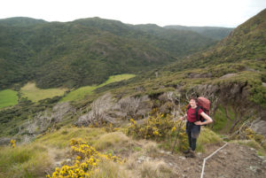 Image of Kath Dewar hiking.