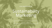 Five Great Examples of Sustainability Marketing