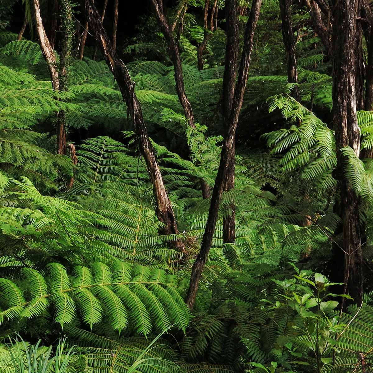 ENews Sign Up Landing Page GoodSense ENews Sign Up Landing Page GoodSense