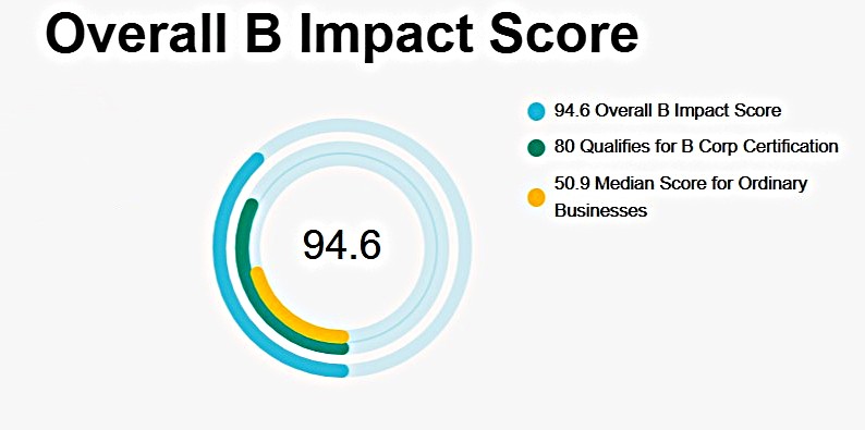 GoodSense B Corp score of 94.6 shown in a circle graph